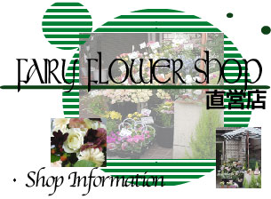 Ffairy Flower Shop フェアリー フラワーショップ 東京都千代田区飯田橋 花屋 花束 アレンジメント スタンドフラワ プリザーブドフラワー 観葉植物 胡蝶蘭 お祝いやお供えのお花などを全国にお届けします